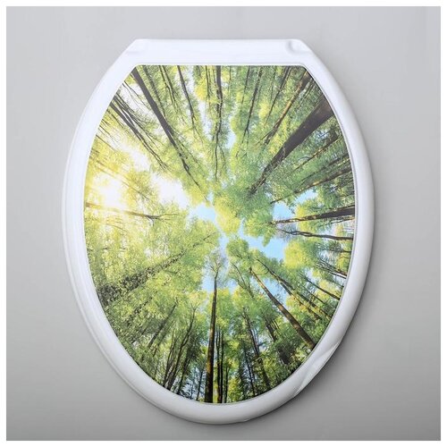фото Сиденье с крышкой для унитаза "декор. лес", цвет белый 5443538 росспласт