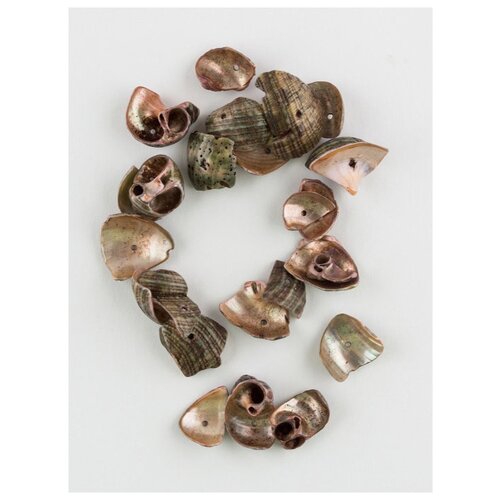Ракушки декор., 13 x 7 мм, 20 г., D20-02, Zlatka, Гамма, №02 коричневый