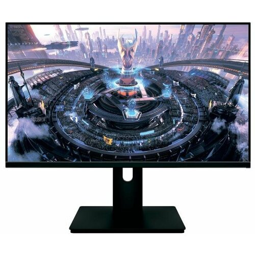 Монитор NPC 238 MF2409-K черный 1456000₽