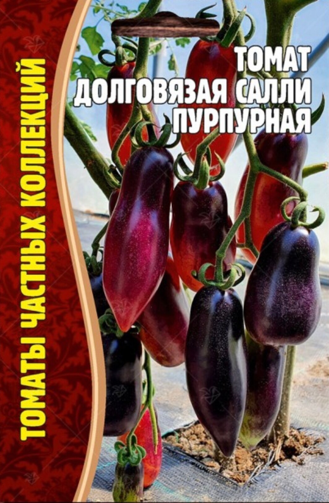Семена Томата "Долговязая Салли пурпурная" (10 семян)