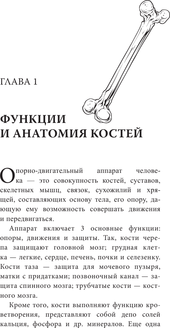 Здоровая спина и суставы. Как избавиться от острых и хронических болей без применения медикаментов - фото №12