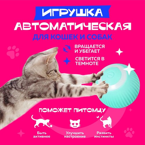 Игрушка для кошек, интерактивный мяч-дразнилка для животных, голубой