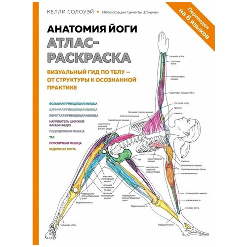 Эксмо Анатомия йоги: атлас-раскраска. Визуальный гид по телу — от структуры к осознанной практике. Солоуэй К.