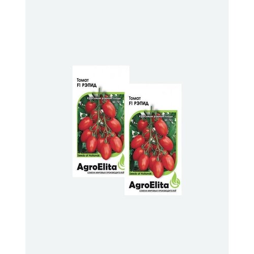 Семена Томат Рэпид F1, 10шт, AgroElita, Seminis(2 упаковки) томат рэпид f1 10шт дет ср агроэлита семинис голландия 10 ед товара