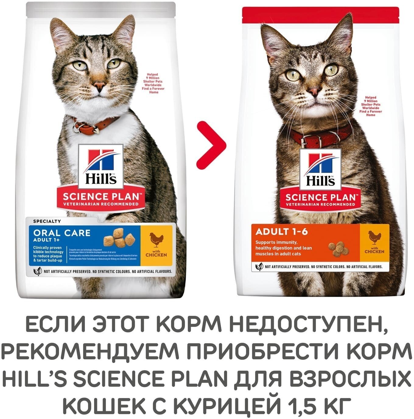 Сухой корм Hill's Science Plan Oral Care (Уход за полостью рта) для взрослых кошек, курица, 1.5кг - фото №19