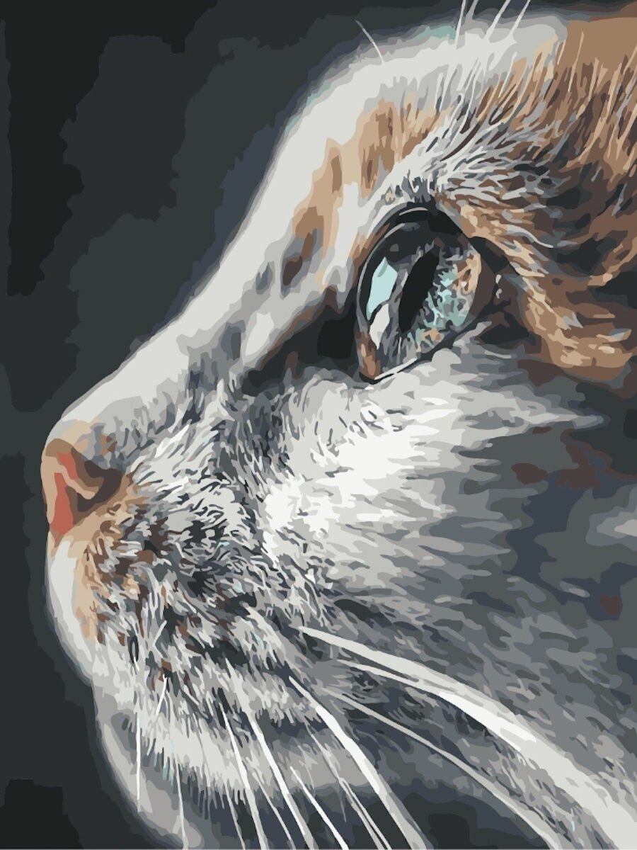 Картина по номерам Взгляд кошки 40х50 см Hobby Home
