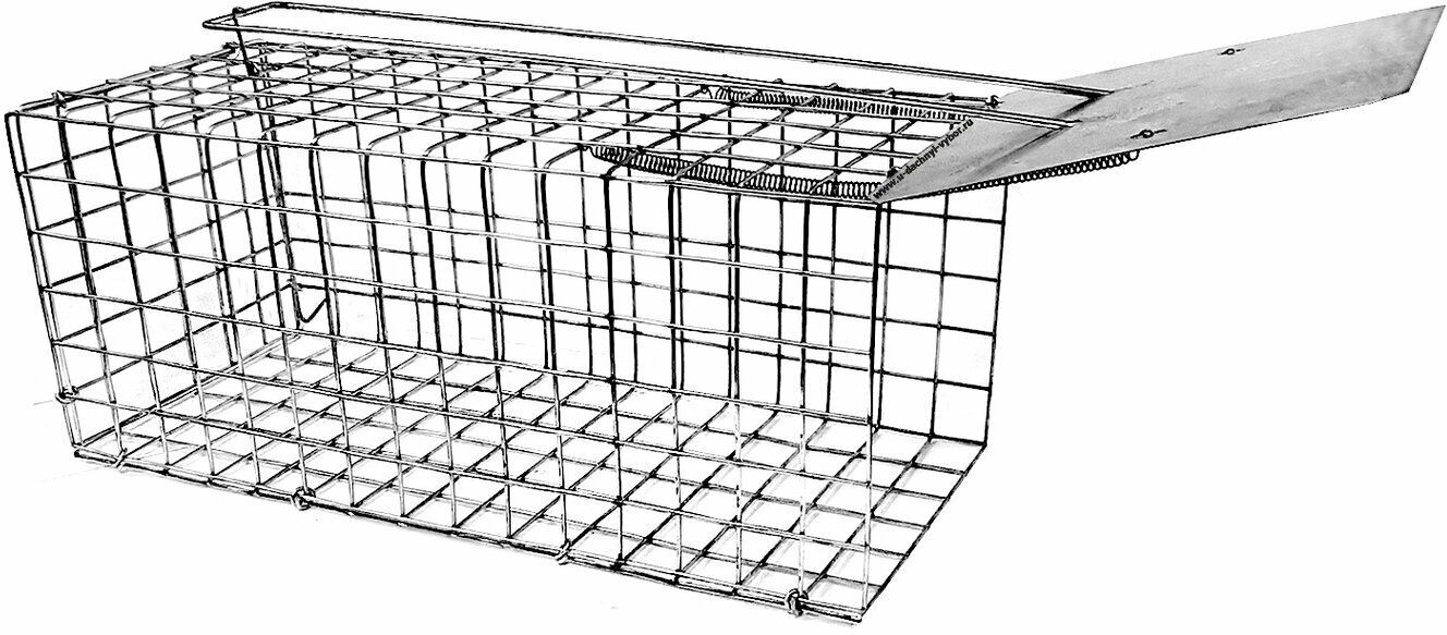 Крысоловка живоловка клетка ловушка большая для грызунов и крыс №1 (37 см) - фотография № 2