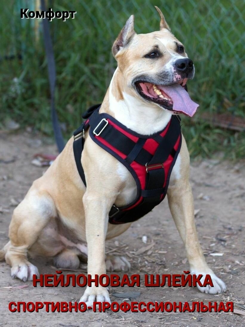 Нейлоновая, спортивно - профессиональная шлейка с ручкой для собак. Комфорт.