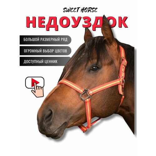 Sweethorse / Недоуздок для лошади и пони COB