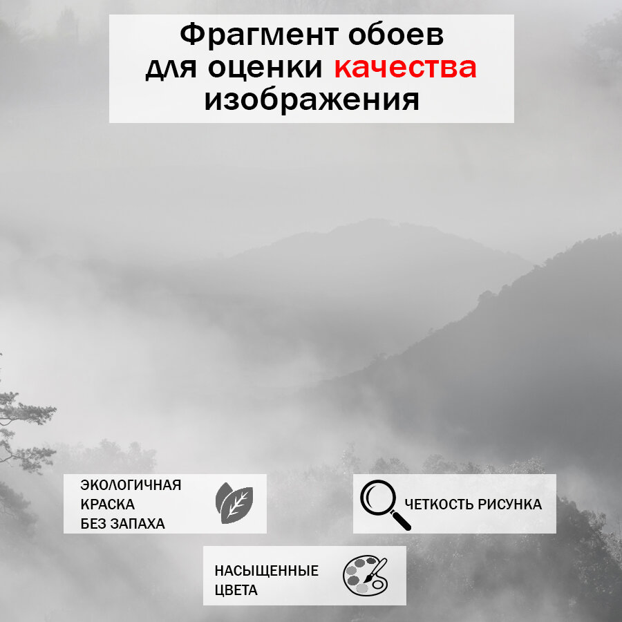 Фотообои Лес в тумане 7-826-Акция-Бархат 272 x 225 см (ВхШ) бесшовные флизелиновые влагостойкие обои