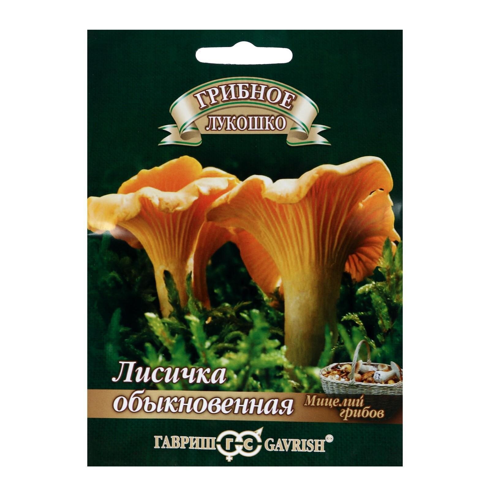 Семена Мицелий 