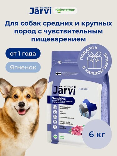 Изображение товара Сухой корм Jarvi полнорационный для взрослых собак средних и крупных пород с чувствительным пищеварением с ягненком, 6 кг