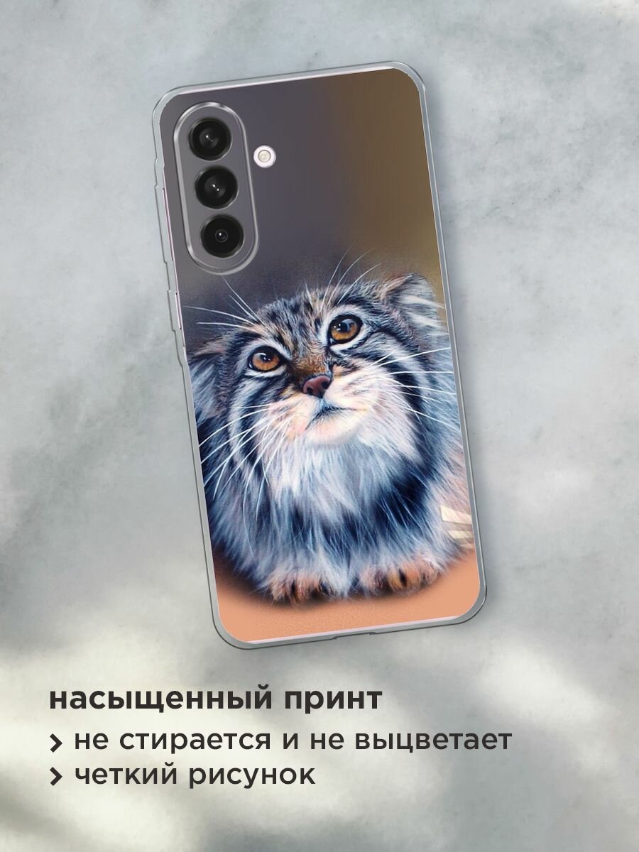 Чехол на Samsung Galaxy A56 5G / Самсунг Галакси А56 5G с принтом "Кот манул 2" — фото 1