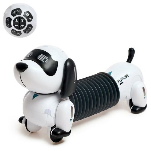 интерактивный робот собака на р у игрушка собачка световые и звуковые эффекты Робот собака «Такса» ZHORYA, на пульте управления, интерактивный: звук, свет, на аккумуляторе, на русском языке