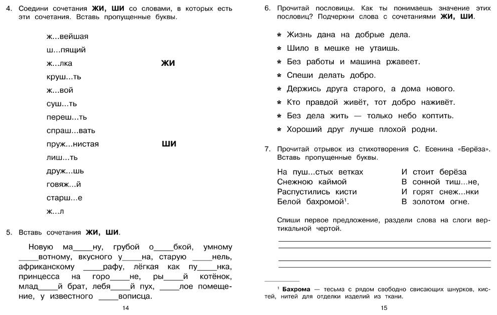 Большая книга заданий по русскому языку. 1-4 классы - фото №2