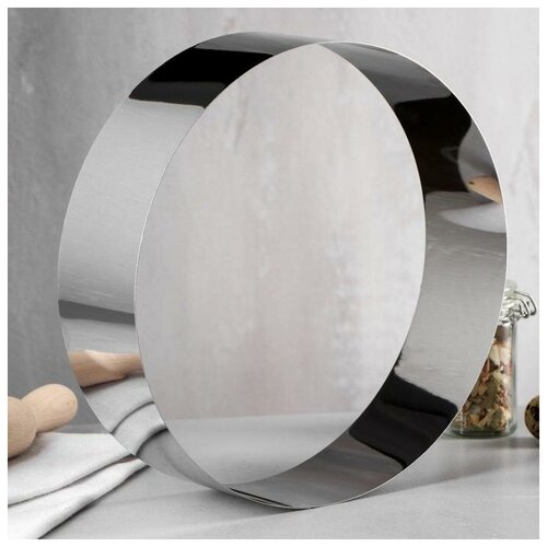 TAS-PROM Форма для выпечки и выкладки «Круг», h-6,5, d-24 см