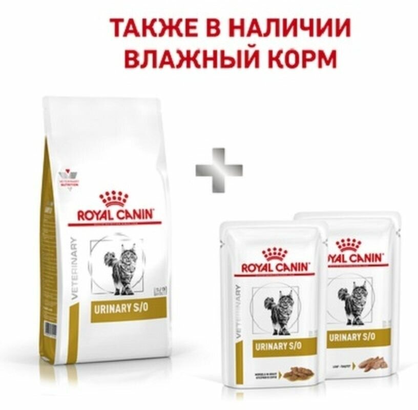 Сухой корм для кошек Royal Canin Urinary S/O для лечения МКБ 400 г - фотография № 5