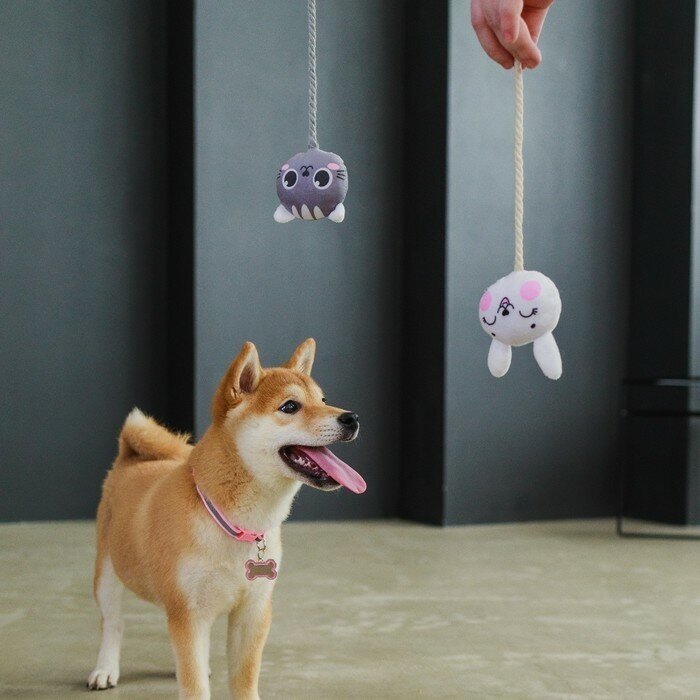 Игрушка для собак"Зайка" с канатом и пищалкой Пушистое счастье 9104566 . - фотография № 6