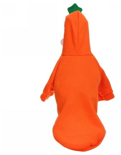 Кофта-толстовка для собаки «Wonderful style-Морковка» с капюшоном, размер XL (56*40*26см) Ultramarine - фотография № 4