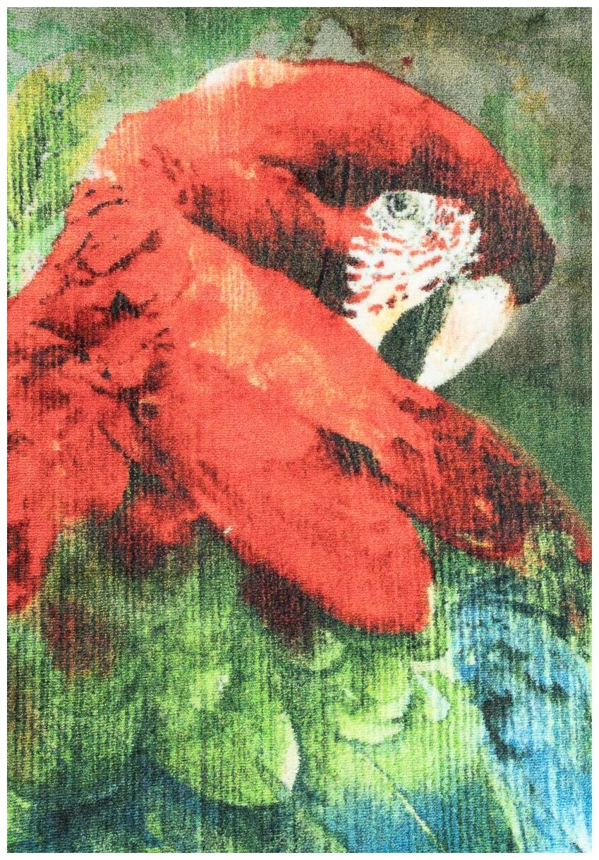 Ковер на пол 1,33 на 1,9 м в спальню, гостиную, детскую, разноцветный Confetti Kids Scarlet Macaw 01 Green - фотография № 7
