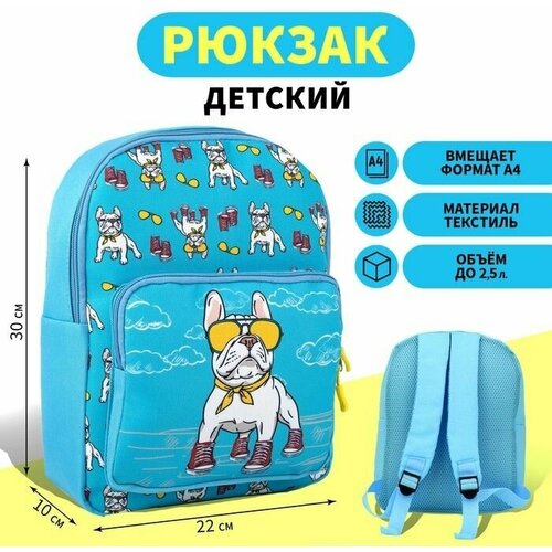 Рюкзак детский с карманом Пeс в кедах, 30 х 22 х 10 см рюкзак детский с карманом пёс в кедах 30 х 22 х 10 см