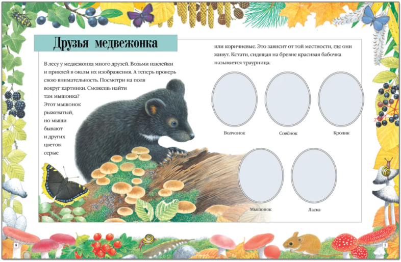 Чудо-наклейки. Кто живет в лесу (более 150 многоразовых наклеек) - фото №3