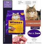 Сухой корм Winner Мираторг 3кг х 2шт с говядиной, для взрослых кошек всех пород. Новинка - изображение