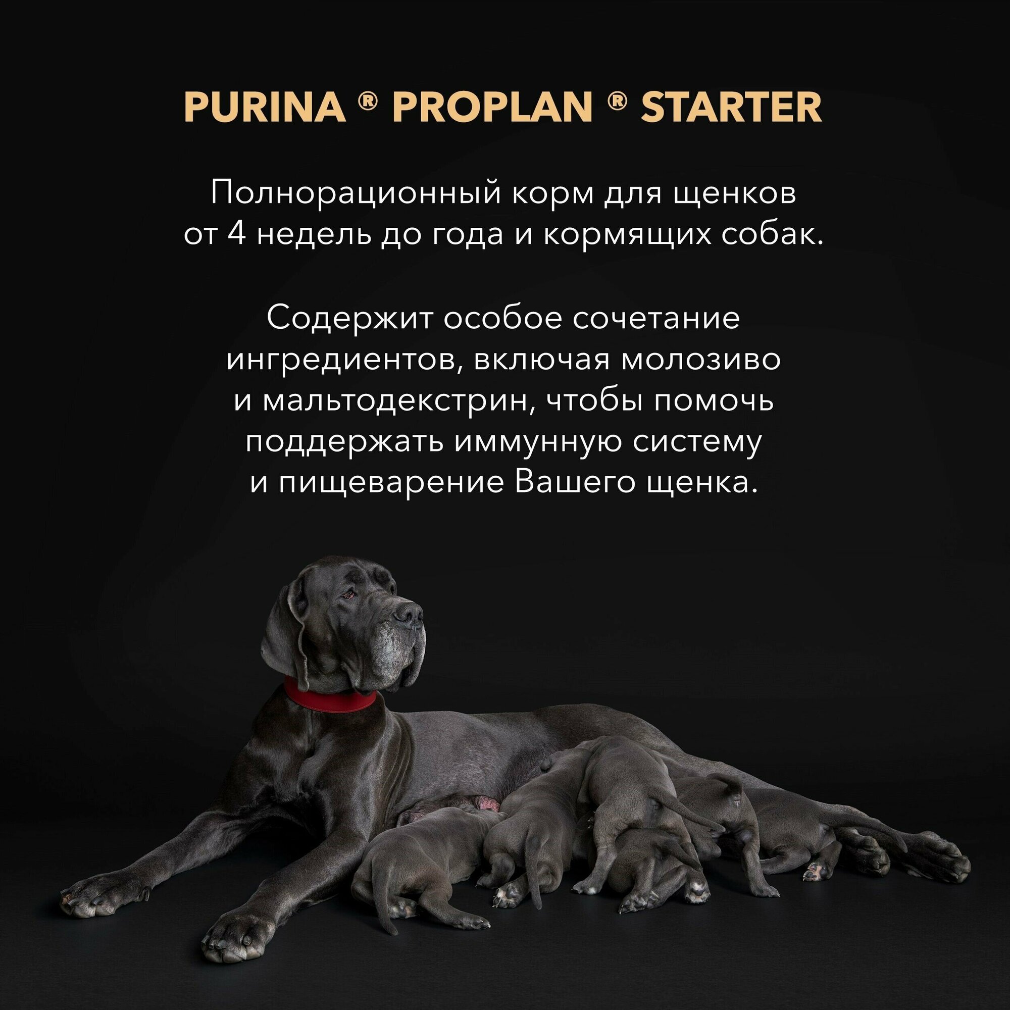 Сухой корм ProPlan Puppy для щенков крупных пород с мощным телосложением, с курицей, 3кг Purina ProPlan - фото №7
