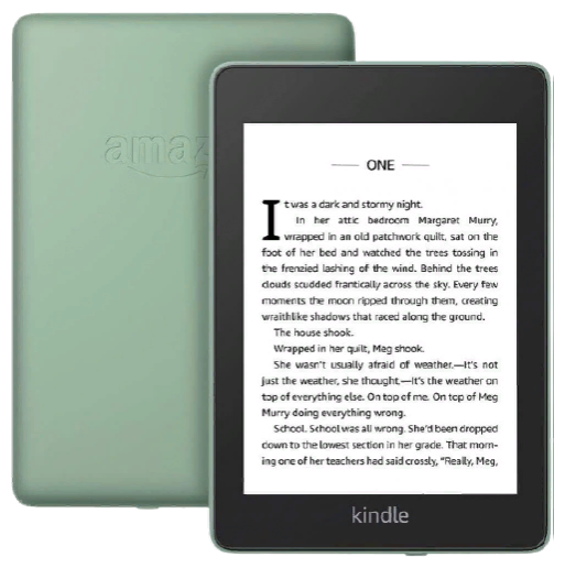 Электронная книга Amazon Kindle PaperWhite 2018 8Gb Special Offer Sage + Книги