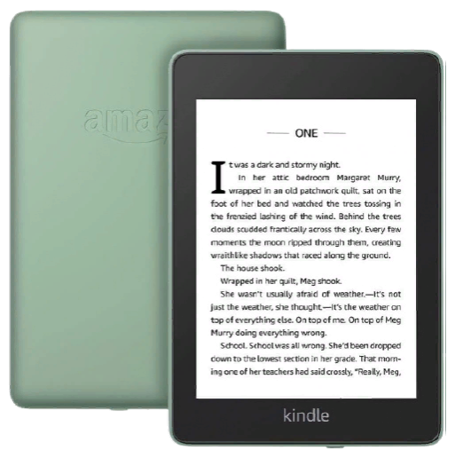   Amazon Kindle PaperWhite 2018 8Gb Special Offer Sage + 