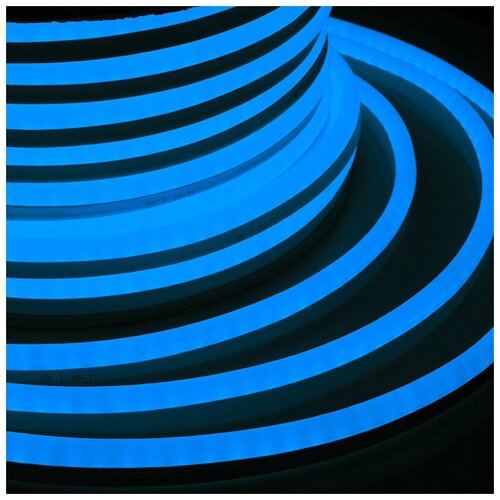 Neon-Night Гибкий Неон LED - синий, бухта 50м, 50м