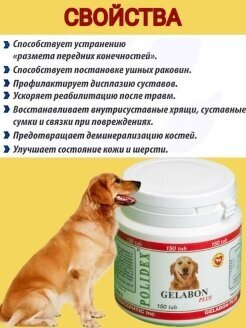 Витамины для собак POLIDEX - фото №3