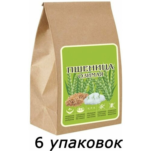 Сидерат Пшеница озимая органическое удобрение, 3кг, 6 упаковок по 500 г, выращиваемое для последующей заделки в почву с целью улучшения ее структуры пшеница озимая лагуна гавриш сидерат 0 5 кг