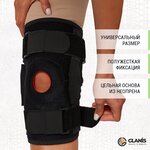 Knee_BraceX_00 - изображение