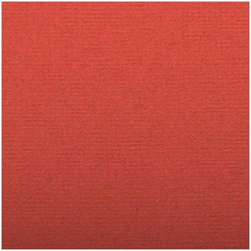 Бумага для пастели Clairefontaine 25 листов, 500х650 мм, "Ingres", 130 г/м2, верже, хлопок, красный (93509C)