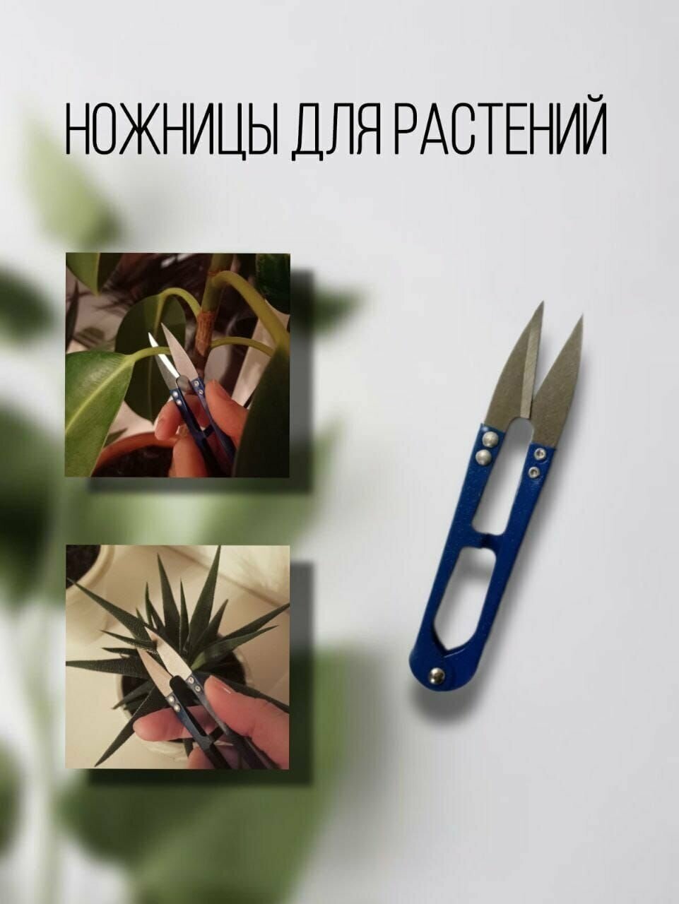 Комплект Опрыскиватель садовый 0,5 литра с распылителем и Ножницы для цветов - фотография № 4