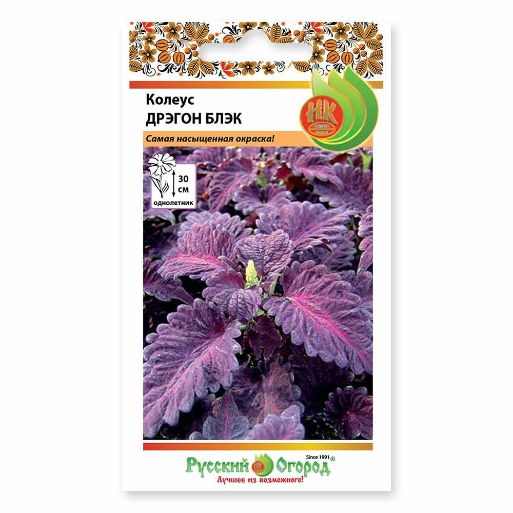 Колеус цветок — купить по низкой цене на Яндекс Маркете