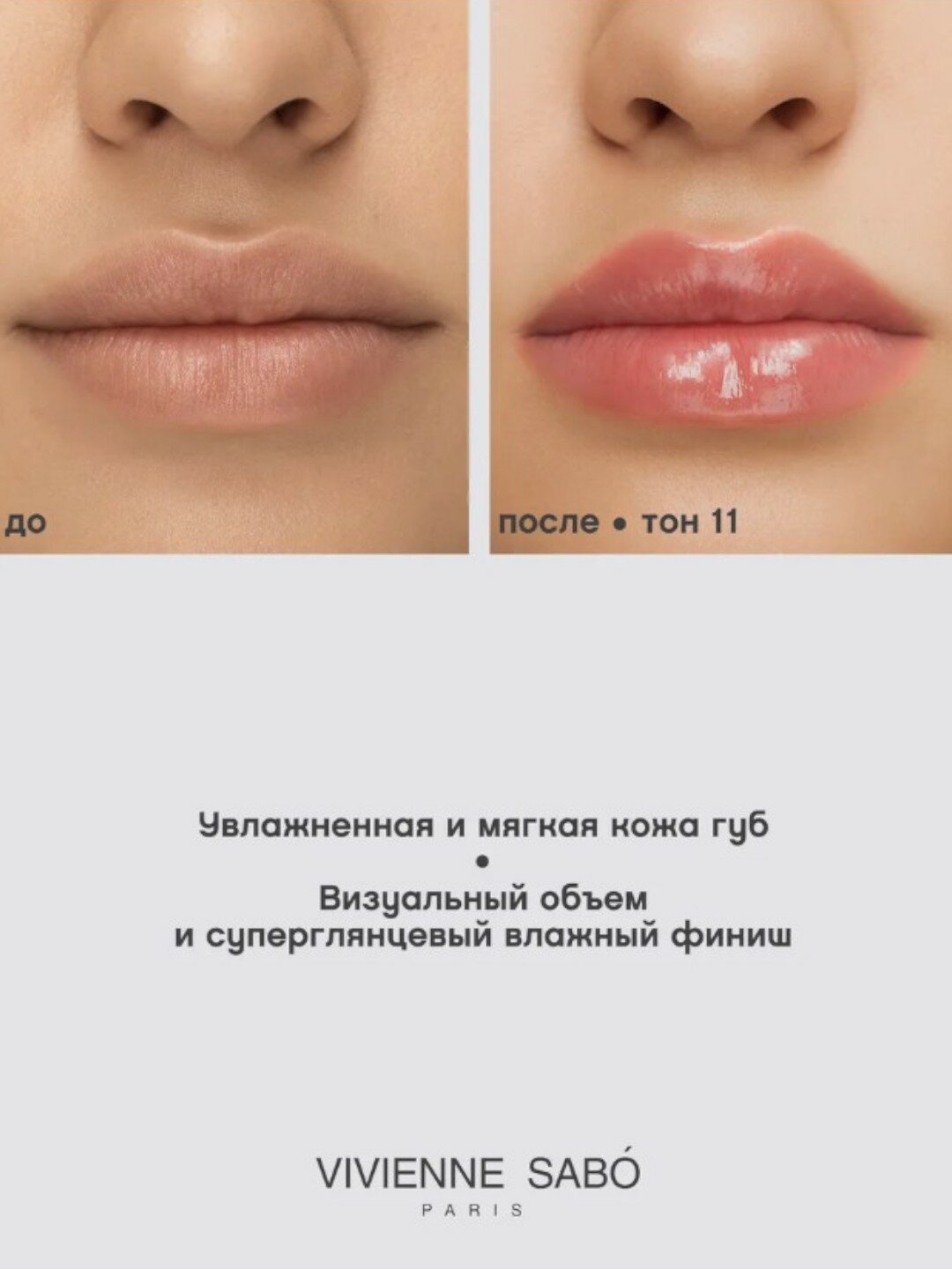 Блеск для губ Vivienne Sabo "Le Grand Volume", тон 11, увлажняющий, сливовый — фото 1