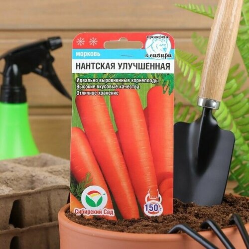 Семена Морковь Нантская улучшенная, 2 г 4 упаковки