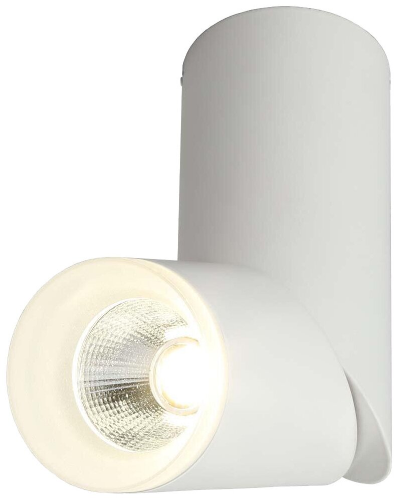 фото Спот Omnilux OML-100209-10