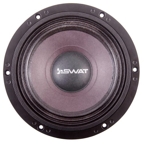 Акустическая система Swat PRO GR-84 440900₽