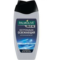 Гель для душа PALMOLIVE Арктический ветер,3в1, мужской