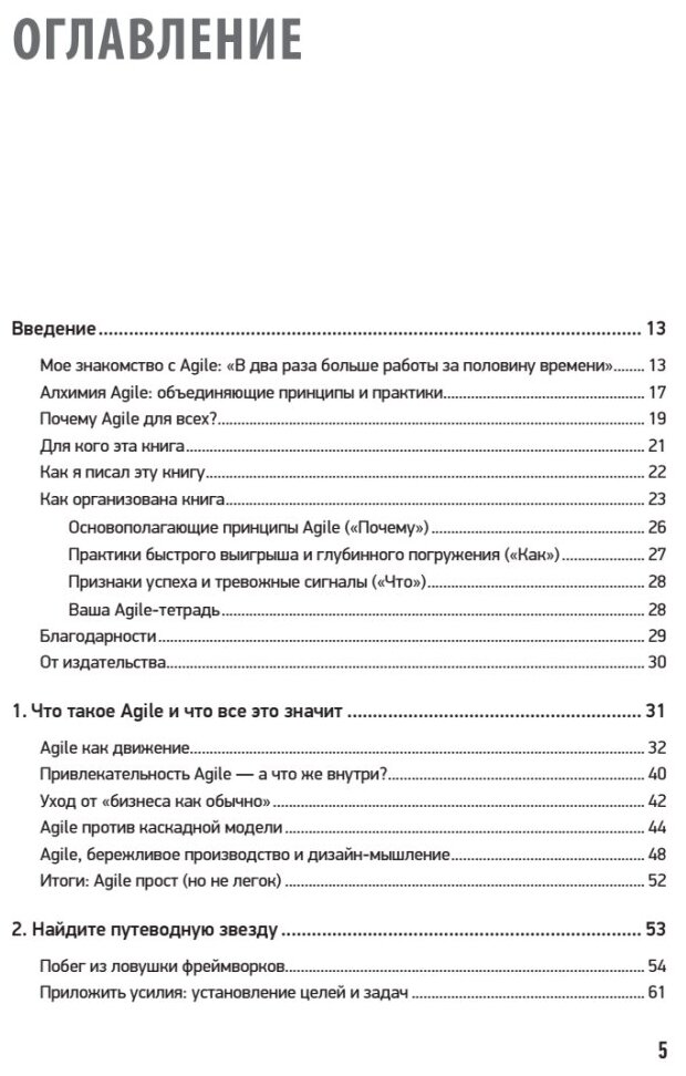 Agile для всех (Лемей Мэтт, Панин М. (переводчик)) - фото №4