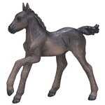 381015 Фигурка Mojo (Animal Planet) - Жеребёнок арабской лошади, чёрный (M) - изображение