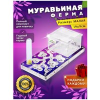 Малая муравьиная ферма максимальный комплект