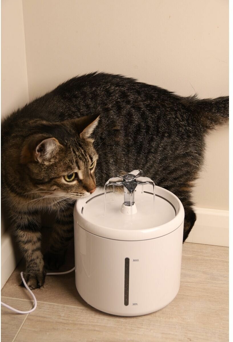 Автоматическая поилка для животных питьевой фонтан для кошек - фотография № 8