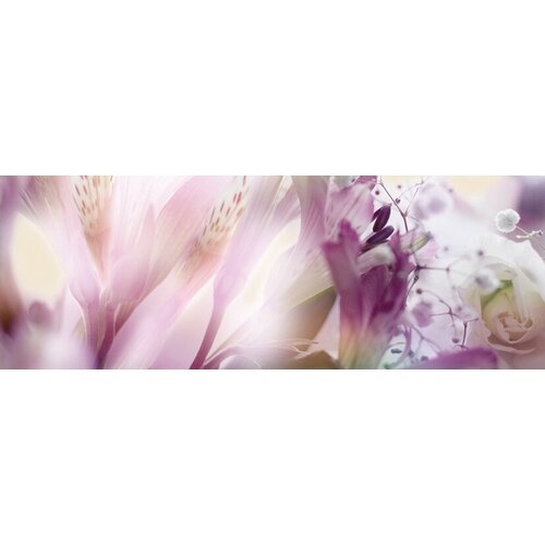 Dec Calido Dance D Декор 25х70 9827₽