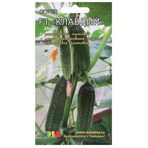 Семена Огурец Клавдий , 8 шт 6 упаковок семена мязина л а огурец клавдий f1 8 шт