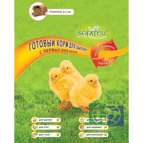 Полнорационный корм Богатей для цыплят с первых дней жизни с пробиотиком