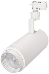 Трековый светильник-спот Arlight LGD-ZEUS-2TR-R100-30W Day5000 (WH, 20-60 deg), кол-во светодиодов: 1 шт., цвет арматуры: белый